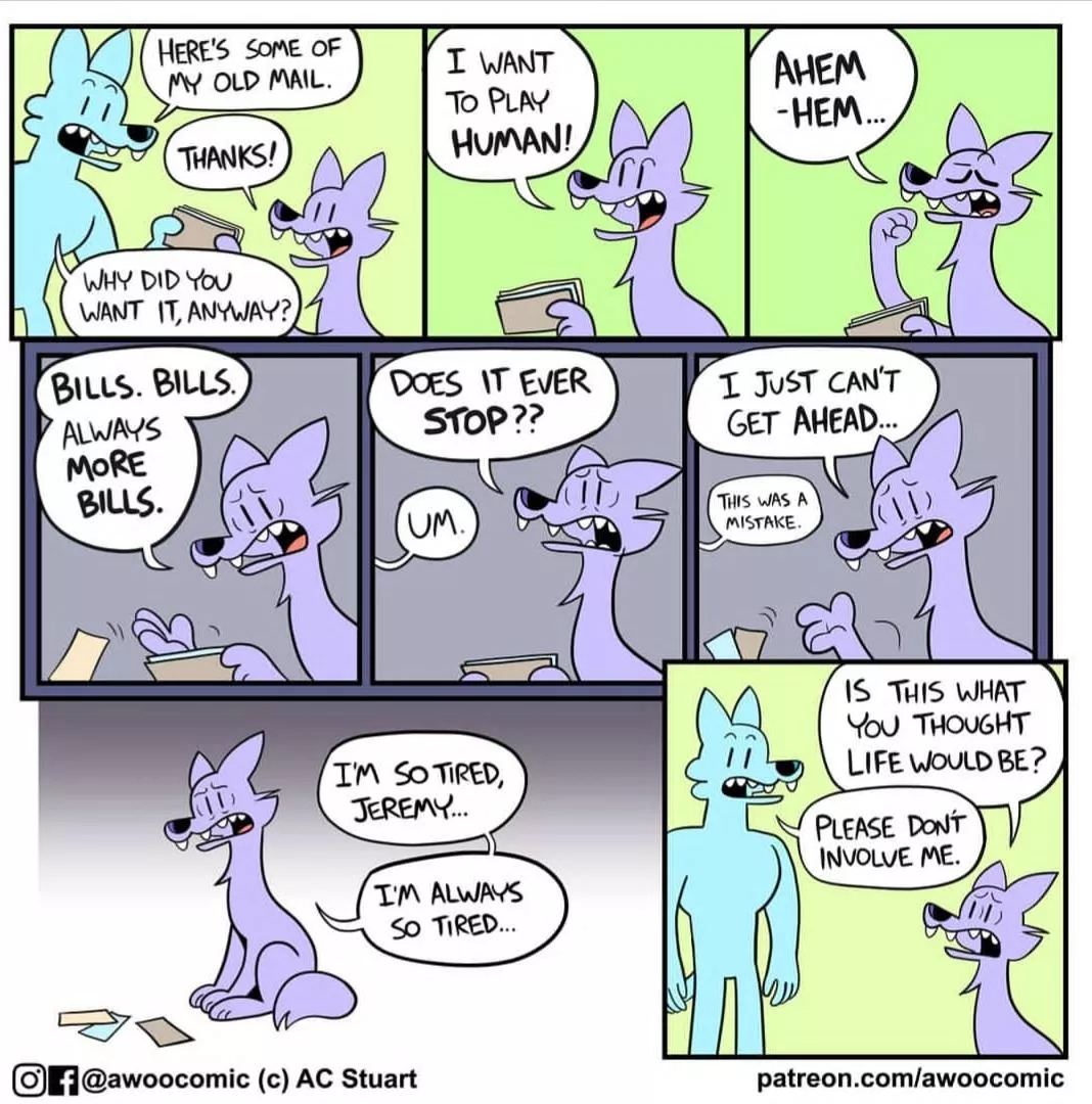 bills (noobtheloser)