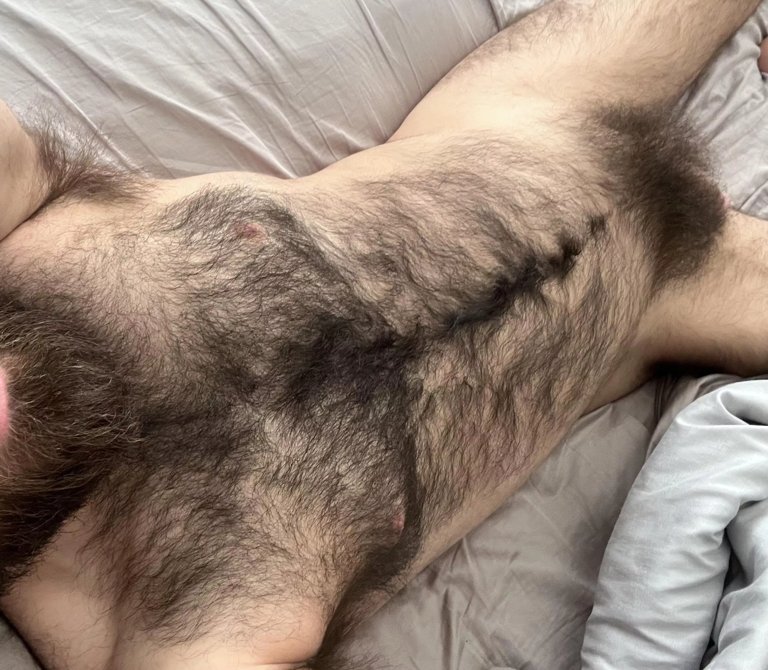 Haven’t trimmed in while