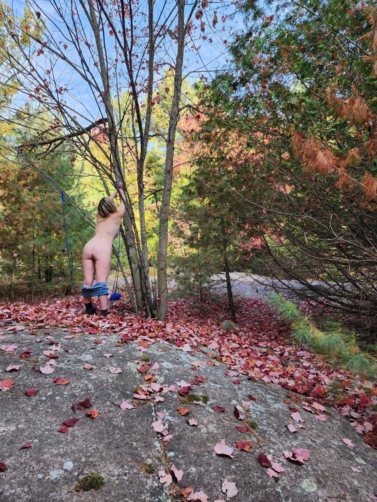 making the leaves fall early