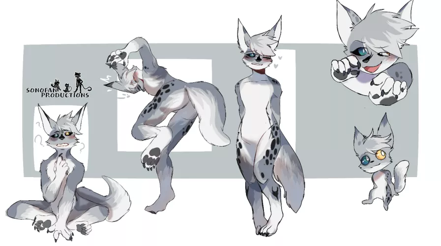 Ref sheet for an artic fox boyo (art by me)