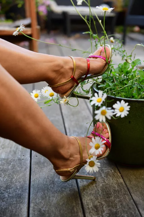sandals and daisies