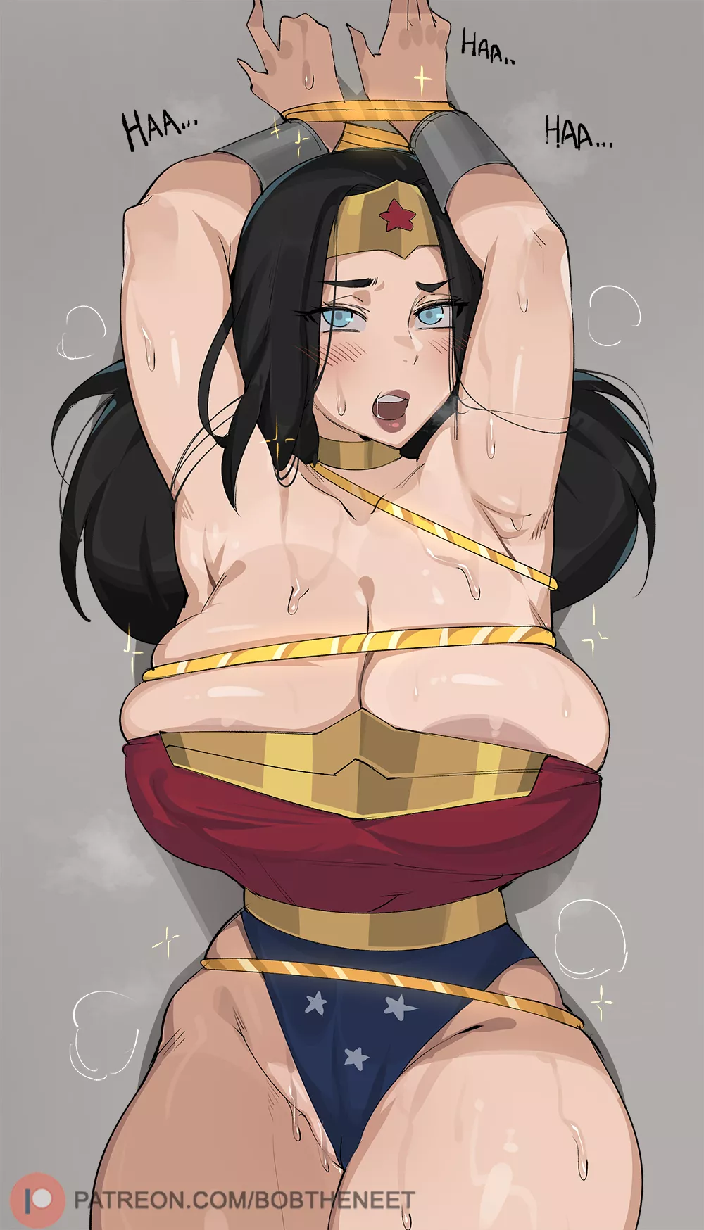 Wonder Woman is the perfect plaything (bobtheneet)