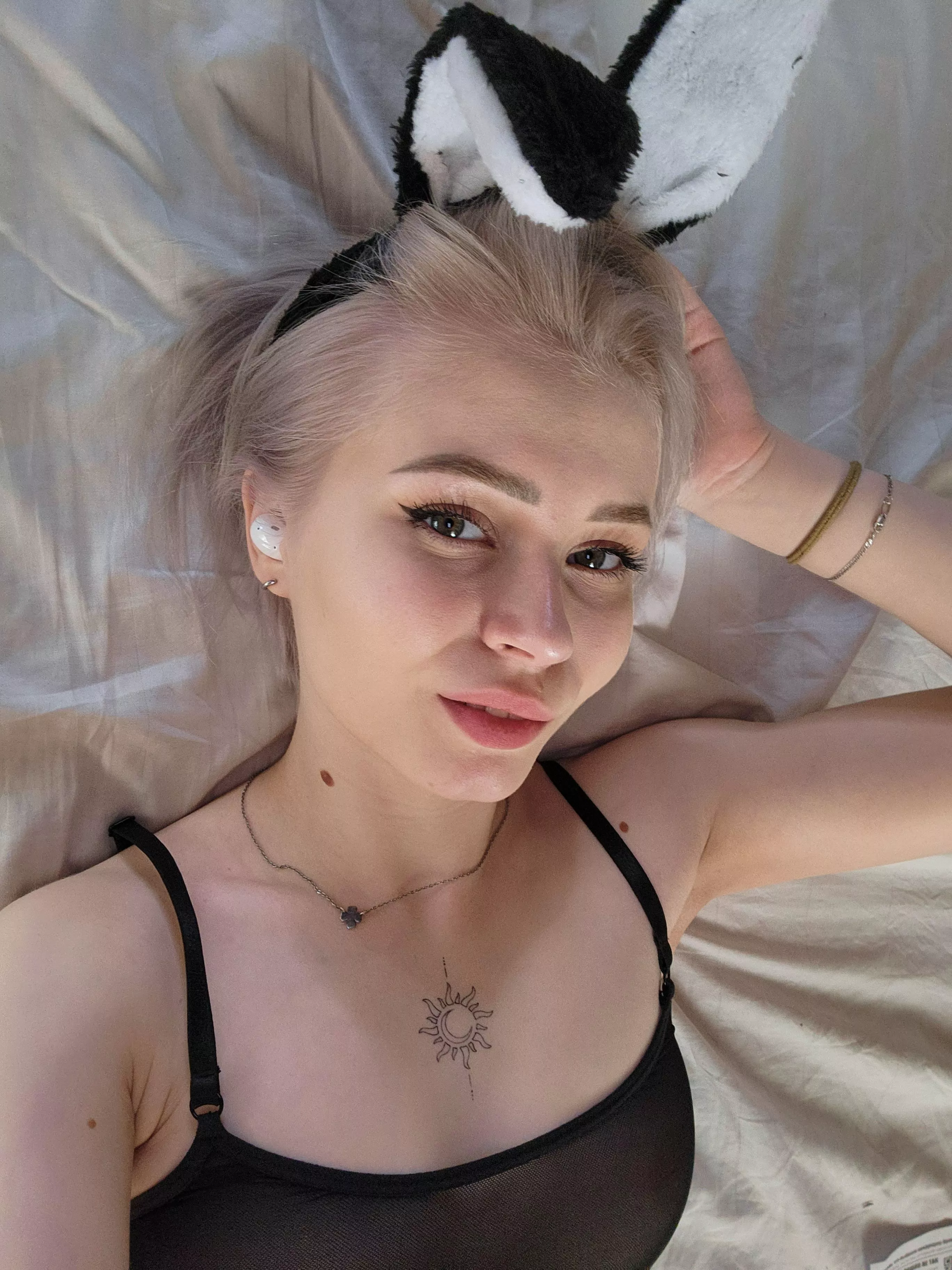 Would you love to play with this short haired bunny?