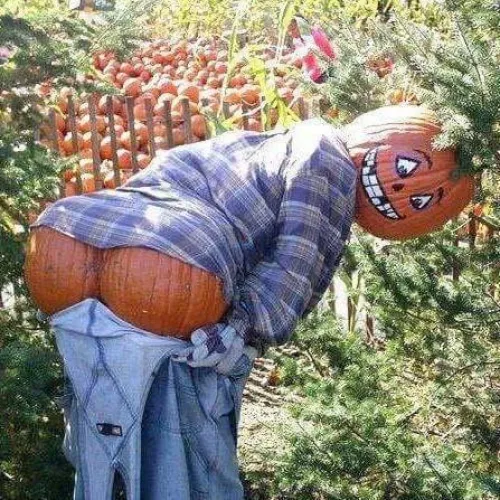 Anyone care for a bit of pumpkin spice ass ?