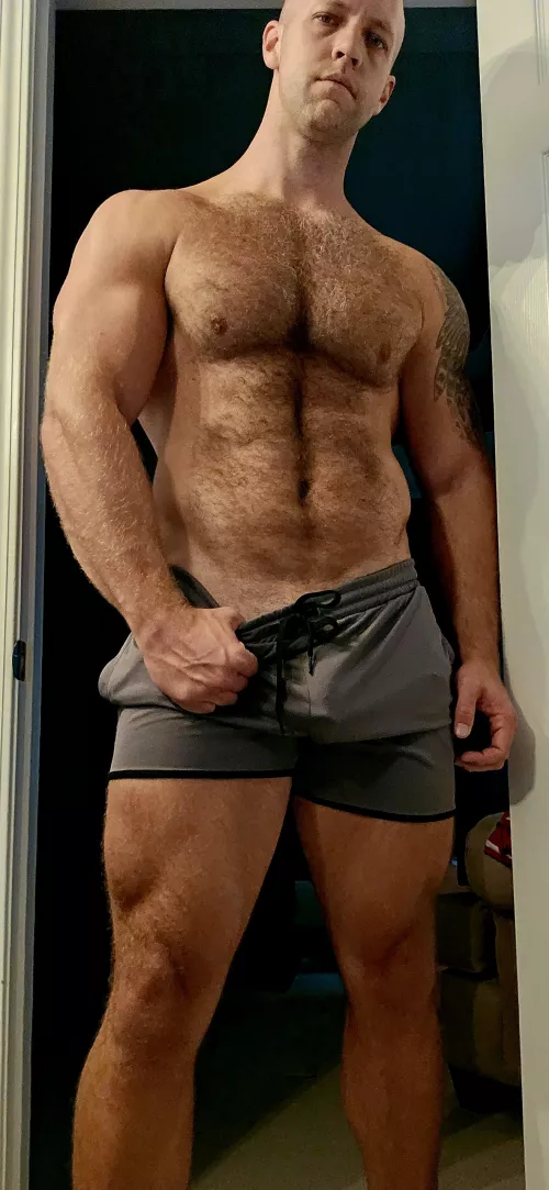 Are these shorts gym appropriate? 35 6'4