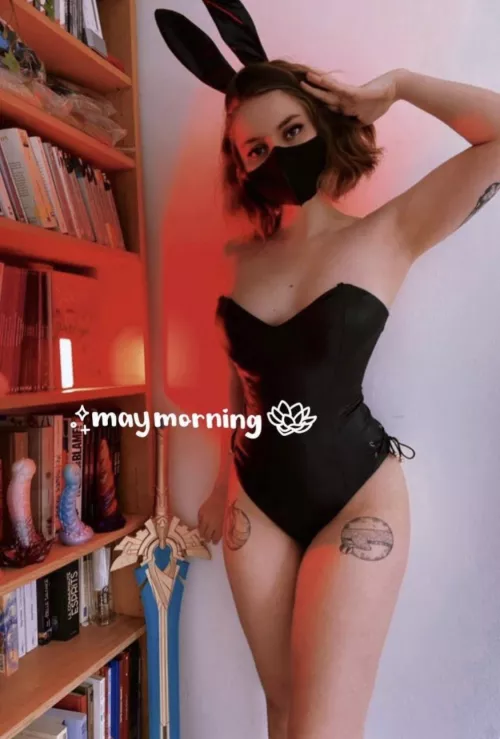 Breed me full of little bunnies!