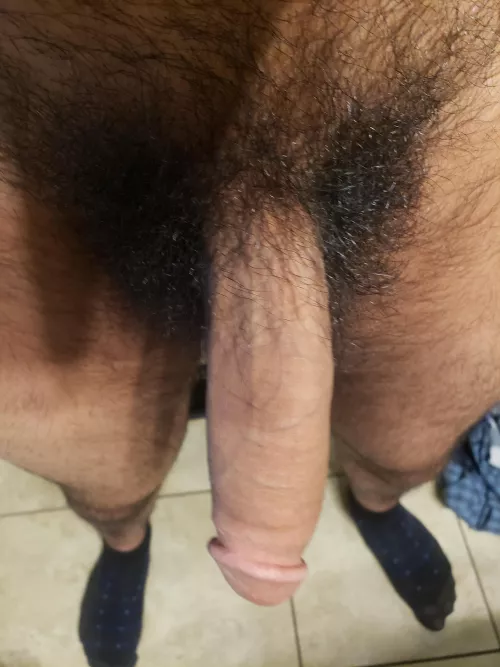 Daddy's Dick