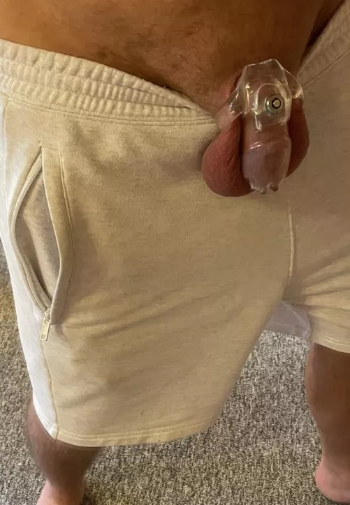 For small cocks there is only one, never inside and locked up😞