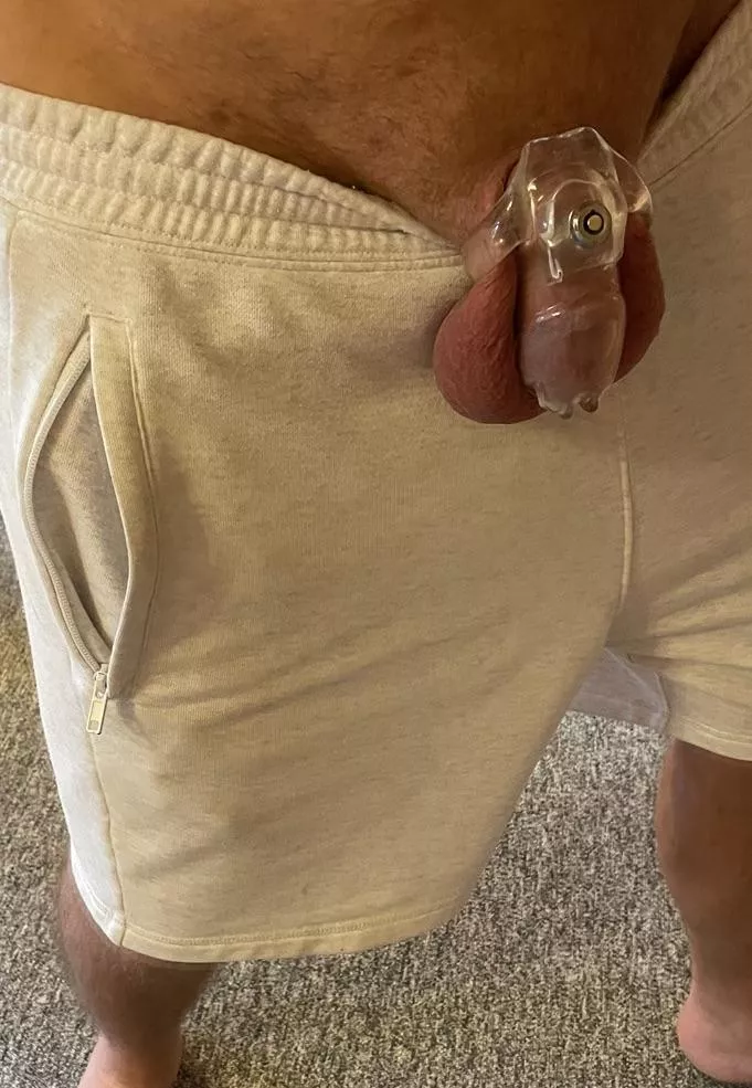 For small cocks there is only one, never inside and locked up😞