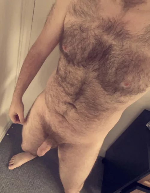 It’s been a while since I posted…