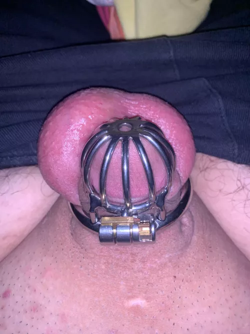 Just got my first cage I’ve been wearing it all day 😍😍