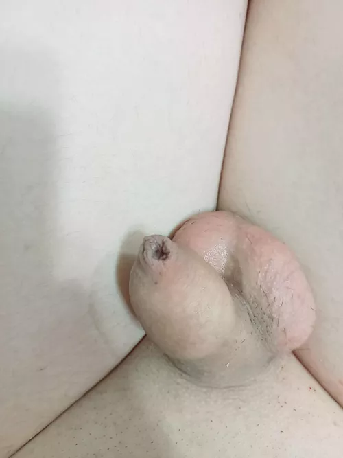 My tiny clitty