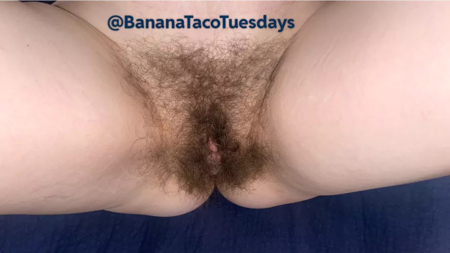 Should I shave and start my bush from the beginning?