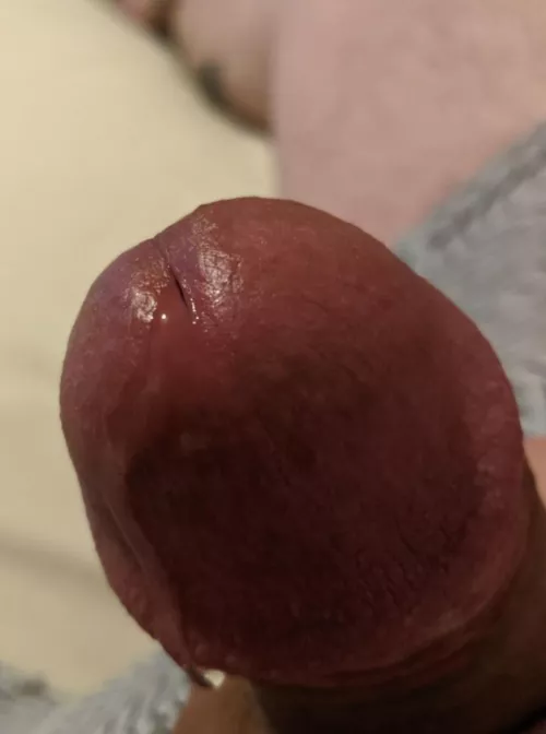 [33] (NSFW) Drooling for you