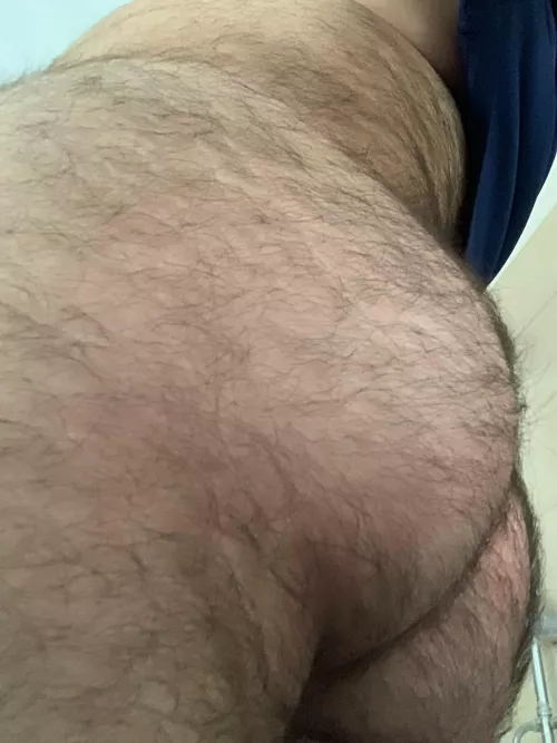 Anyone into an hairy butt?