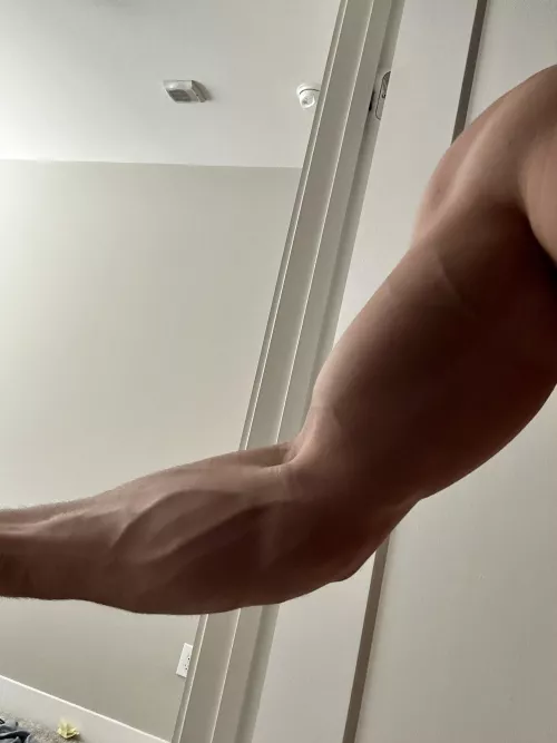 Good morning say it back!