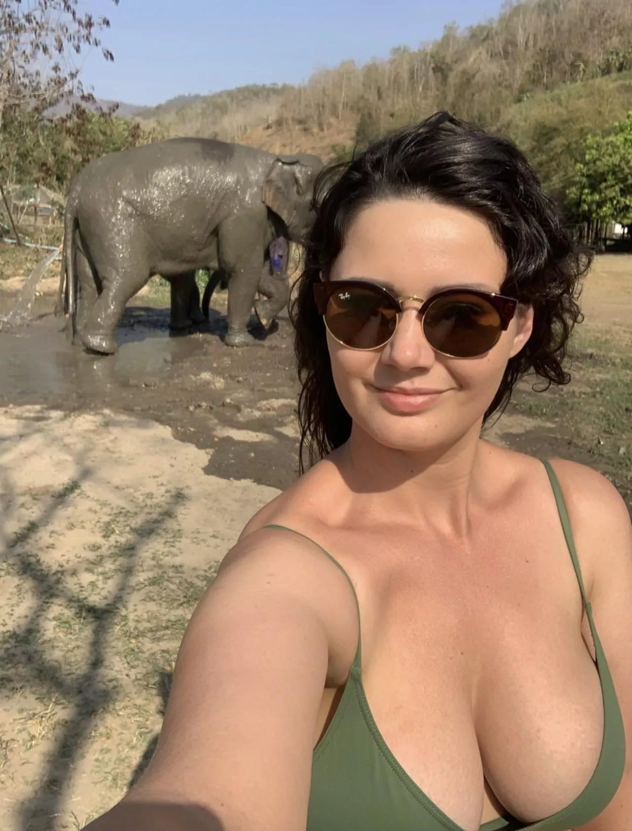 Nearly didn’t notice the elephant..