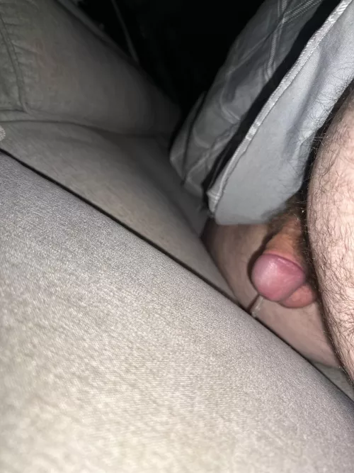 Didn’t want to get off the couch so I just peed between the cushions