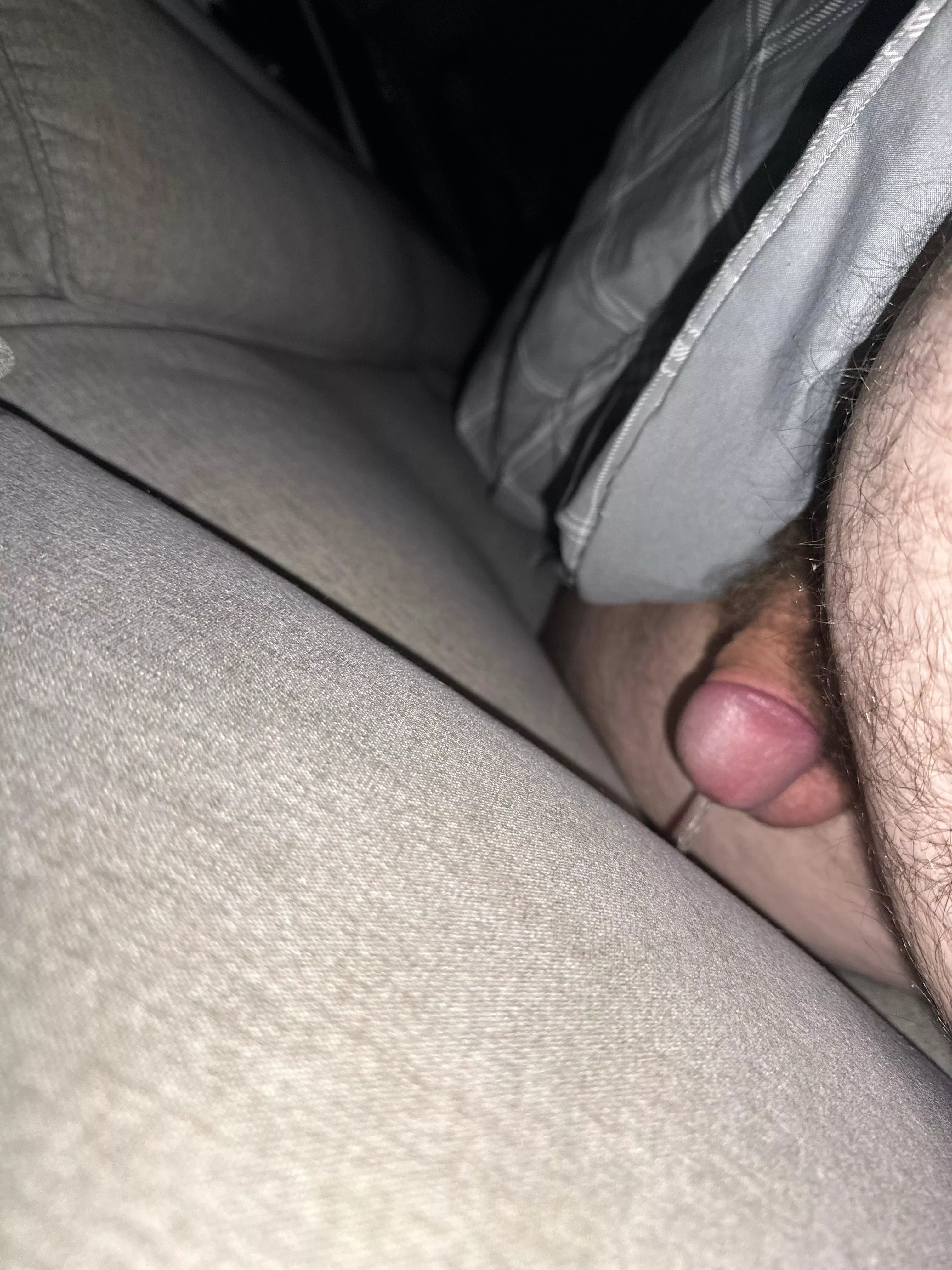 Didn’t want to get off the couch so I just peed between the cushions