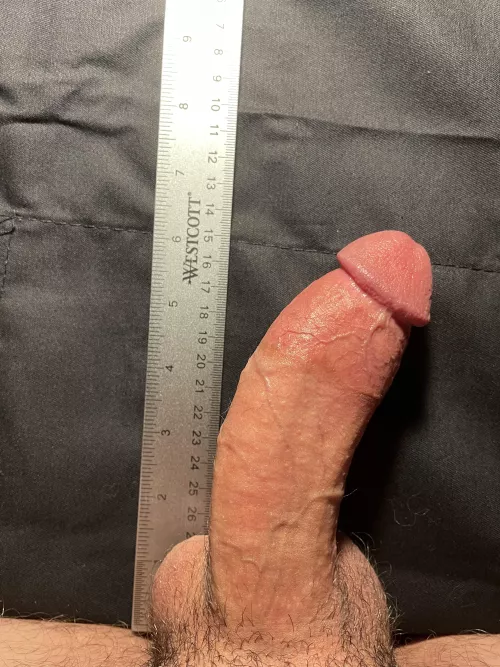 Honest opinions. Is the curve gross? Adequate size?