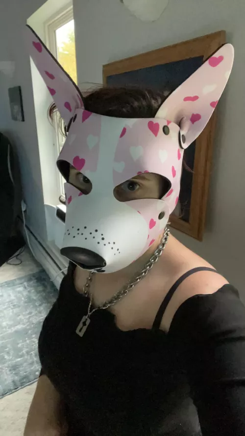 Just got a new hood! 🩷