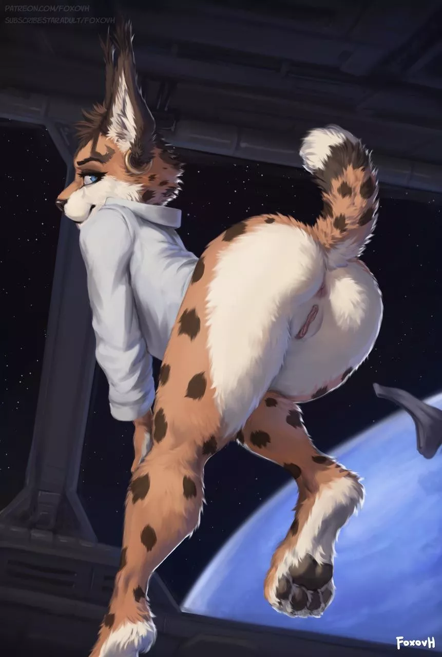 Miyu Lynx [F] (Foxovh)