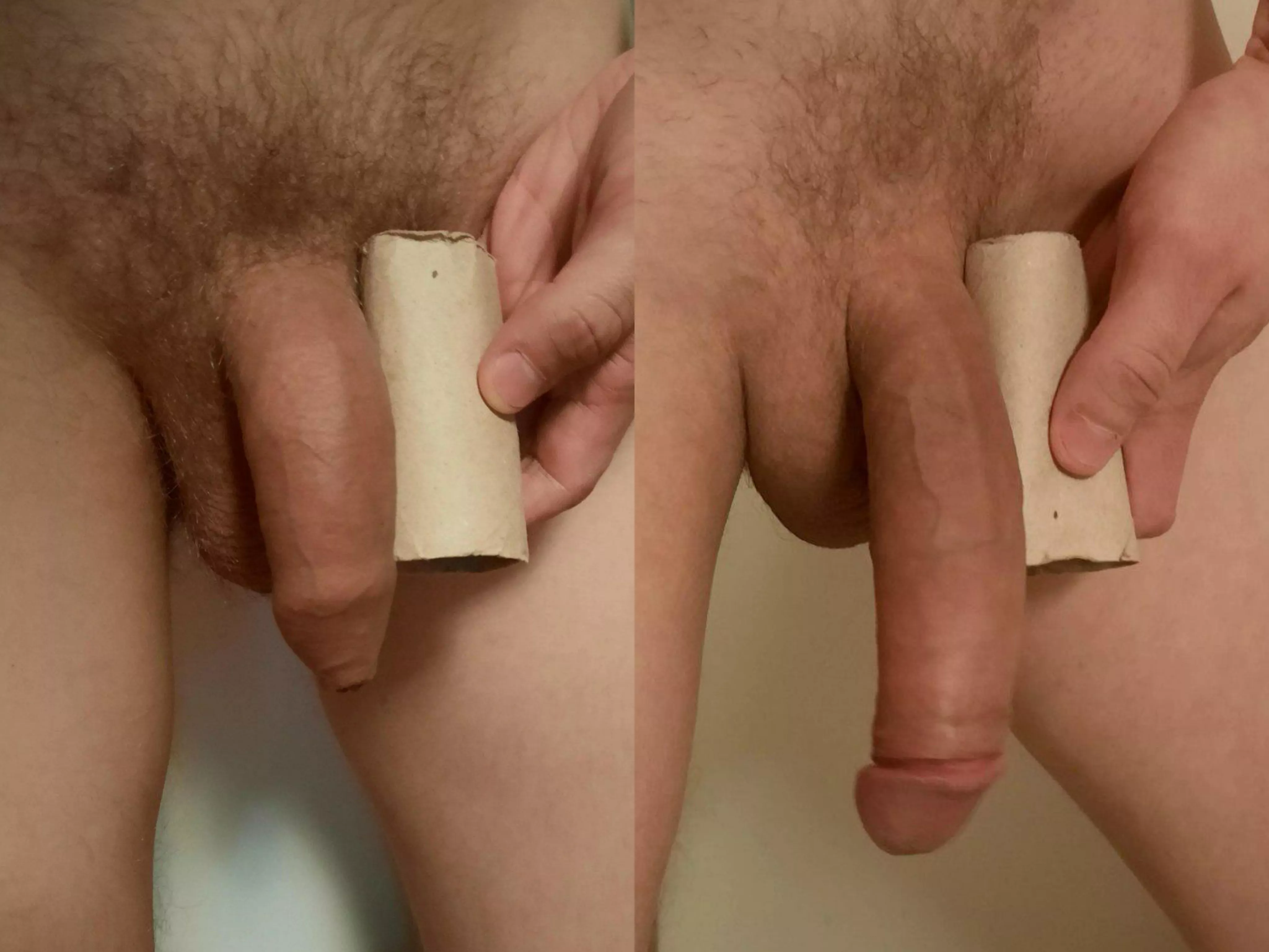 My soft and semi-hard cock compared with TP roll tube