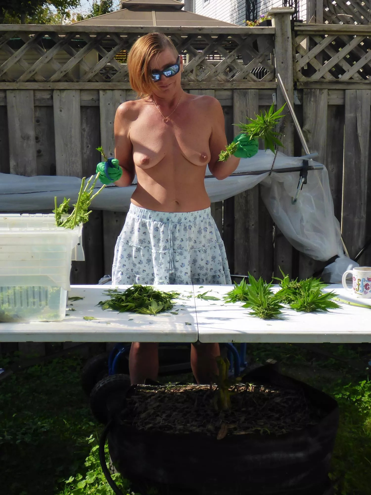 Slave to the Scissors (f)