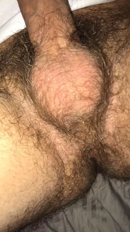 Who enjoys eating a hairy hole
