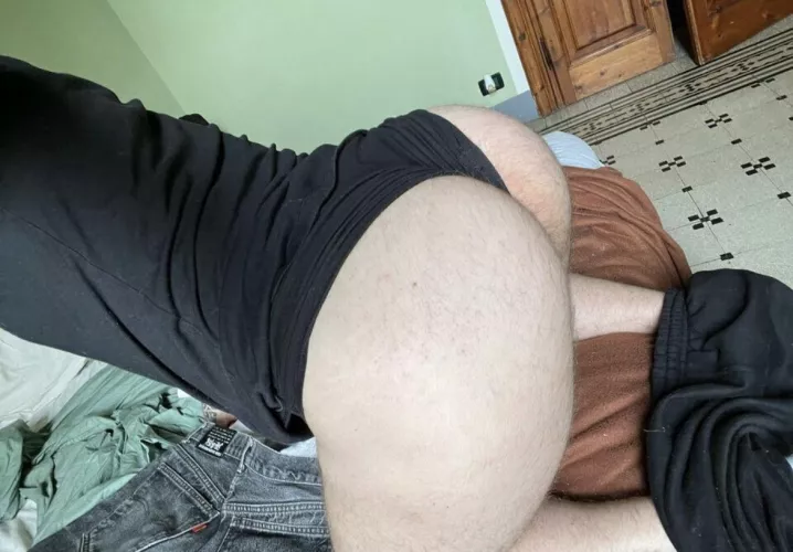 Would you like to lick this big hairy ass