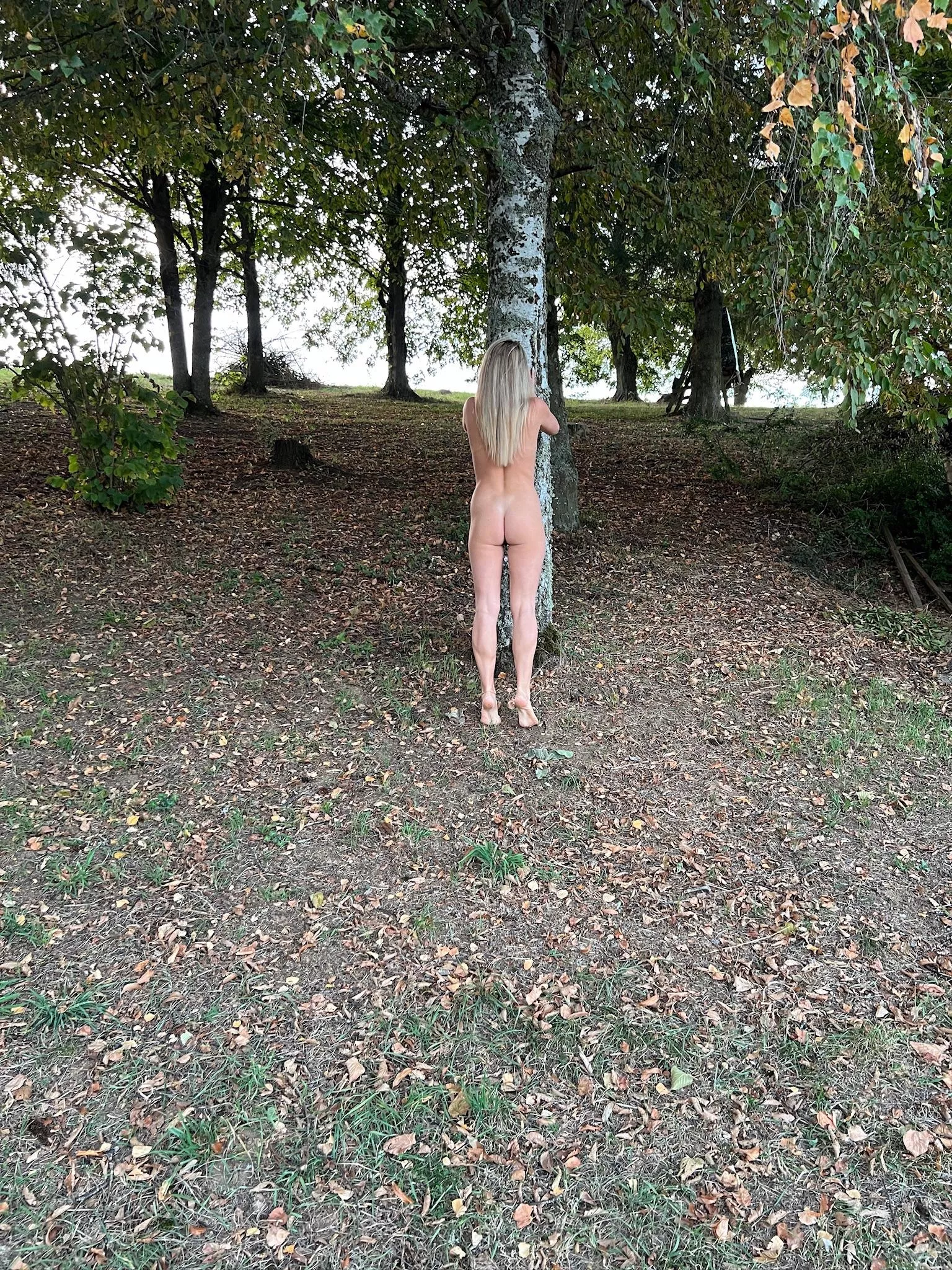 🙋🏼‍♀️🌳