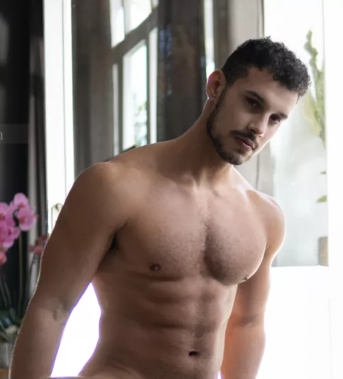 Do you like my shape?