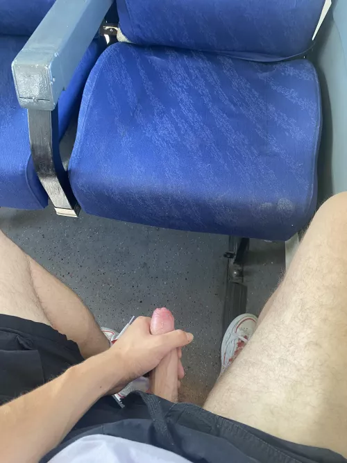 Do you want be a passenger of this train?