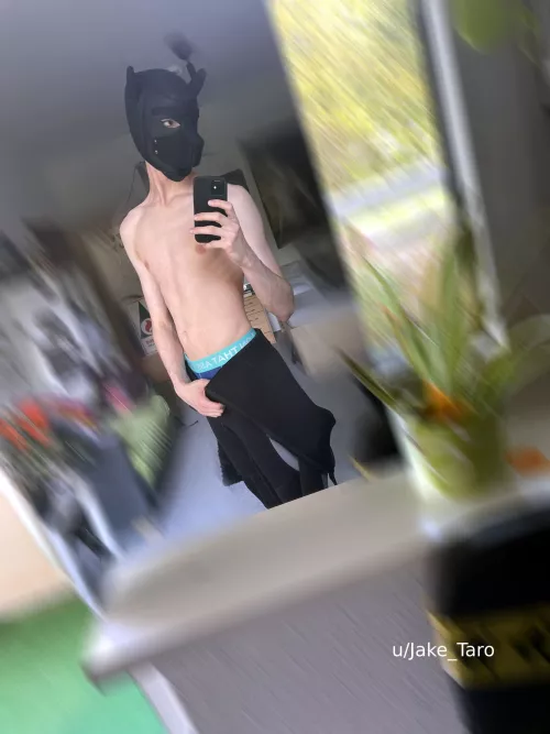 wanna go for a swim with my new wetsuit? 👀