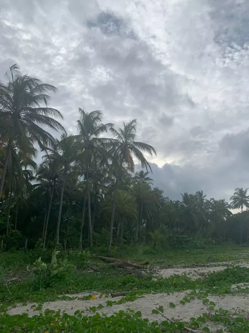 Everyone takes a photo of the sea, but behind it there is another landscape.