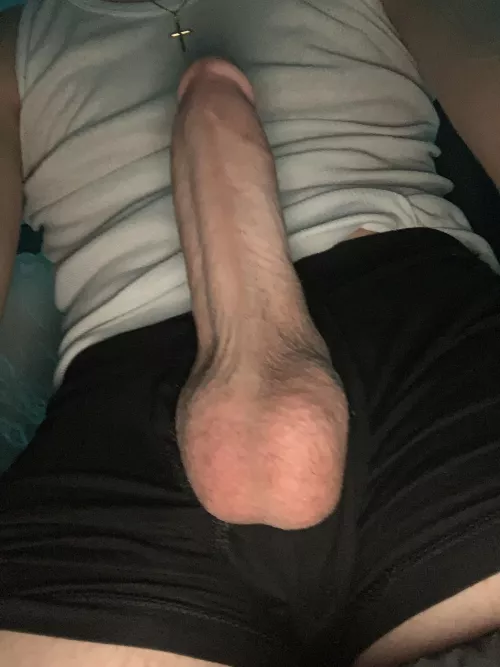 my high school dick