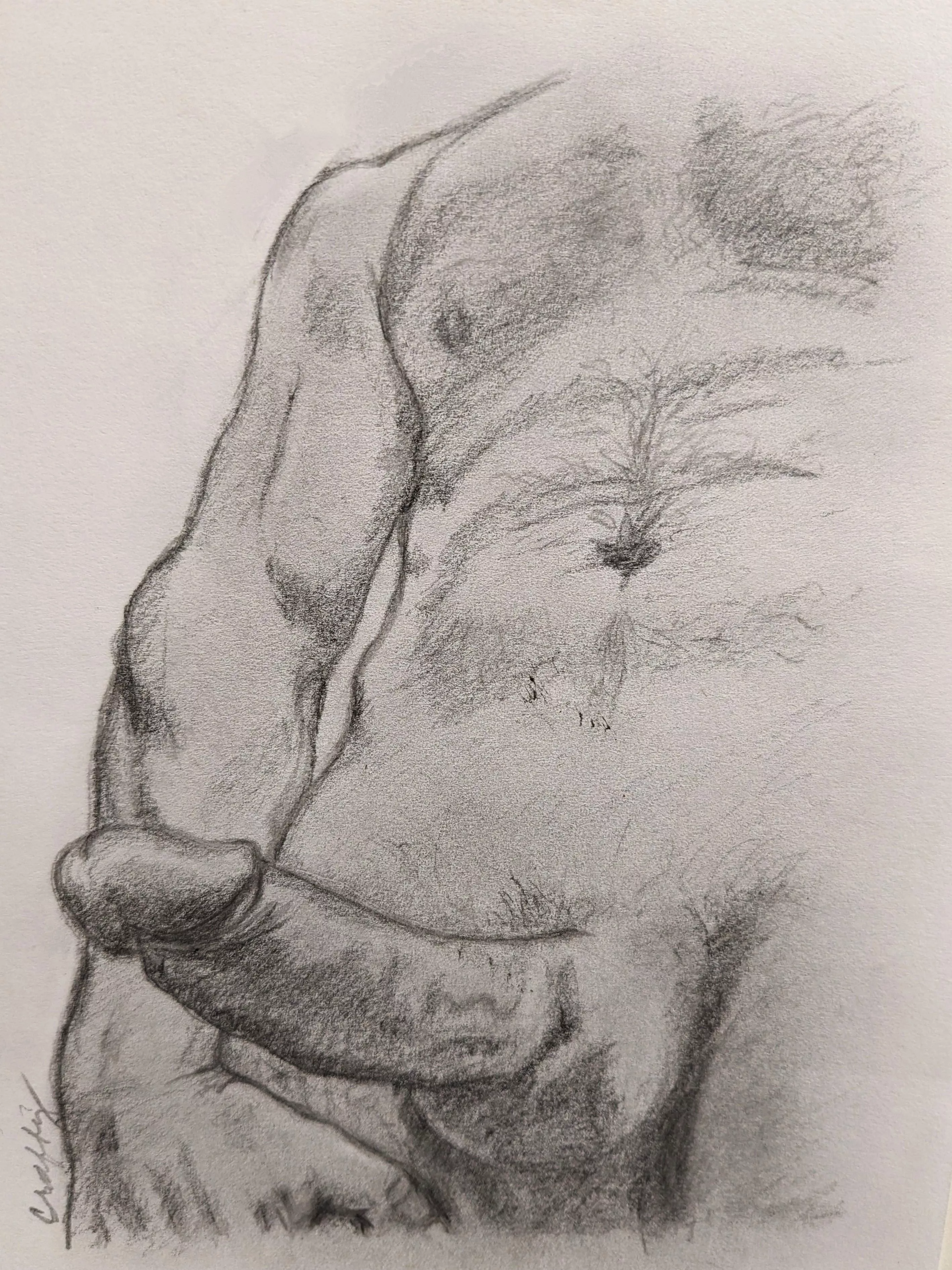 Why not? Pencil sketch of an anonymous Redditor. Graphite on bristol.