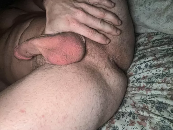 Would you suck me and eat my ass?!