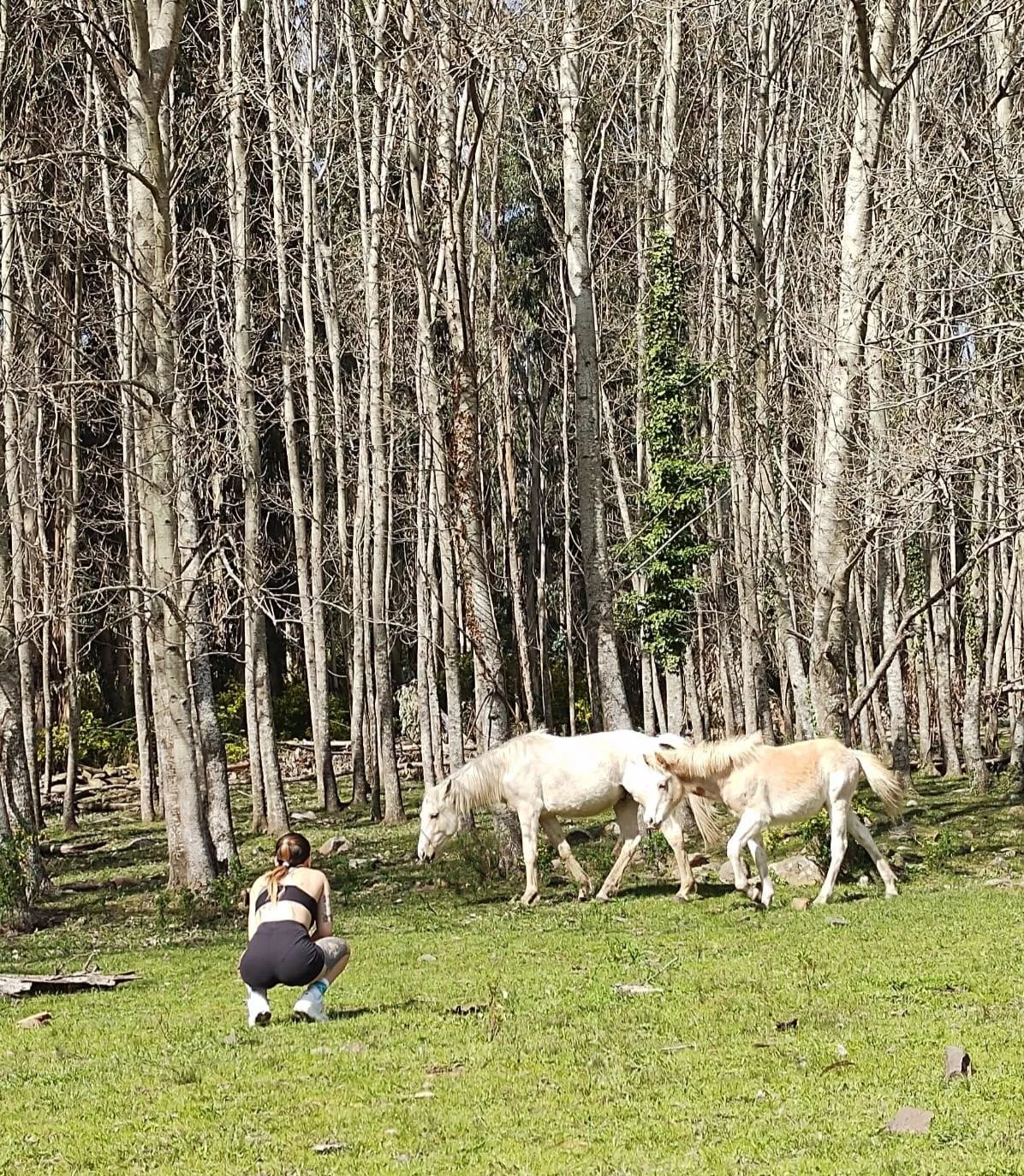 Yesterday enjoying this beautiful place