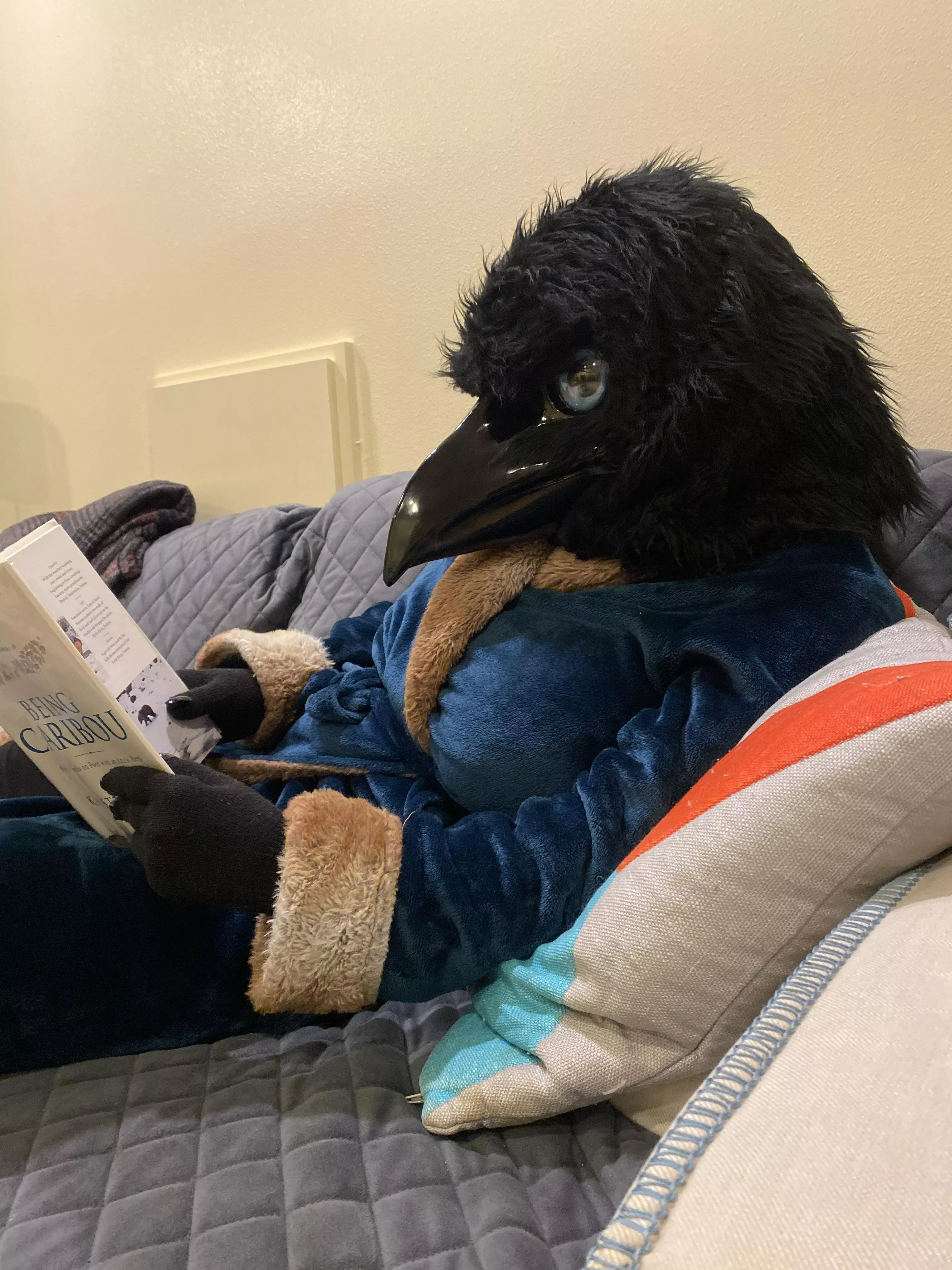 ~Aah, a good book….📖🦌~ (Photo by u/TheGalacticAngler)