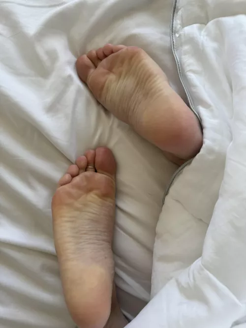 Are they to dirty for your bed?