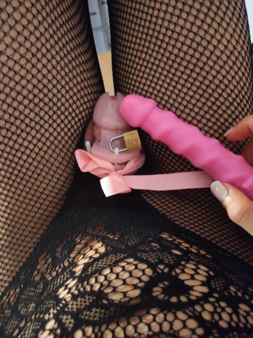 Chastity+Dildo= ?
