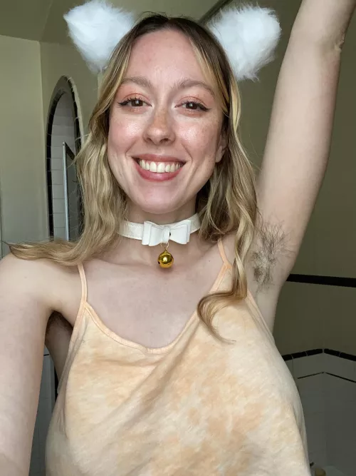 come pet this furry kitty