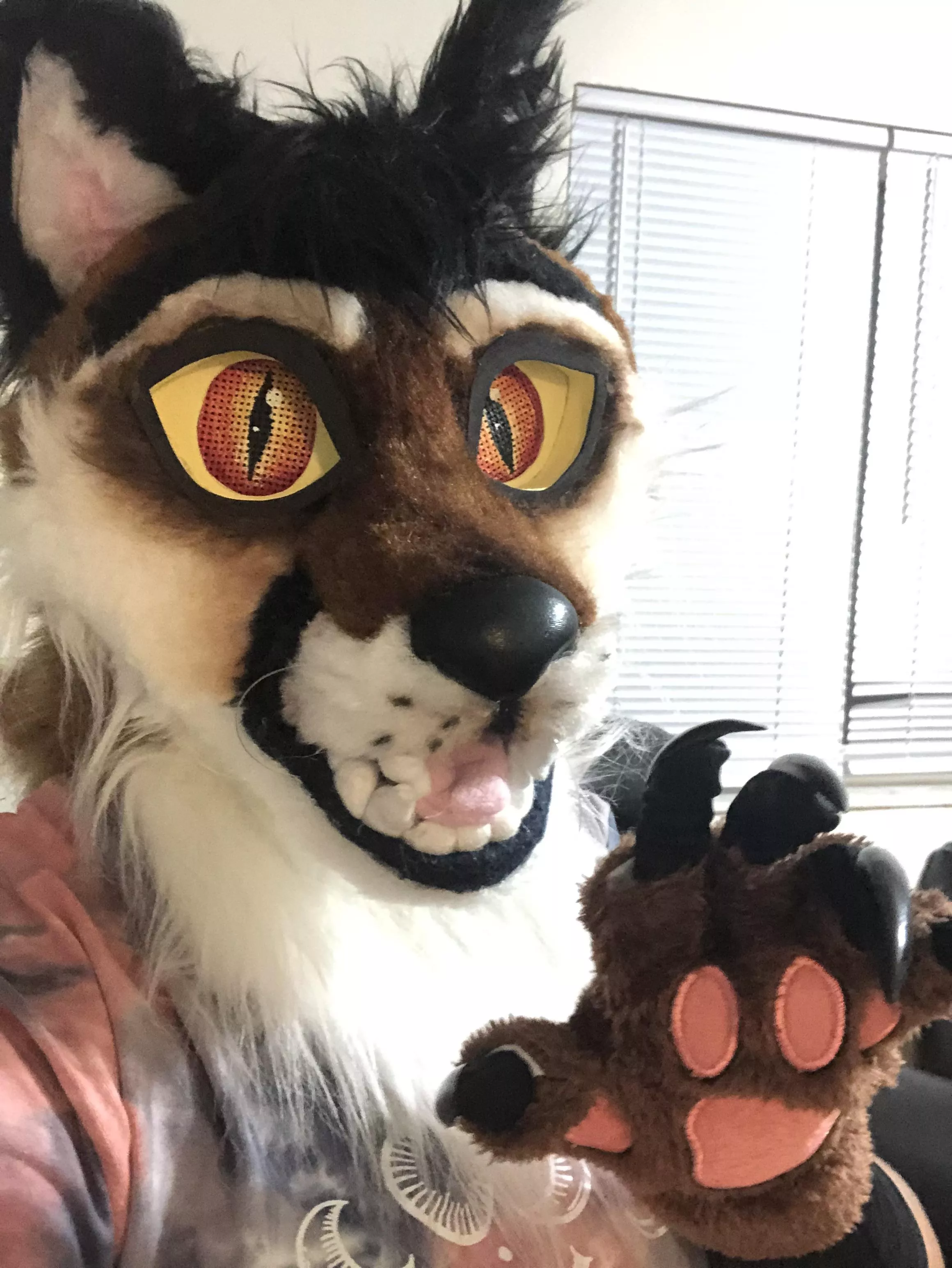 Fursuit time ™️