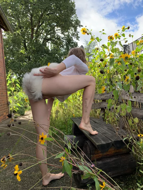 I am just enjoying the sunflowers 🌻😏