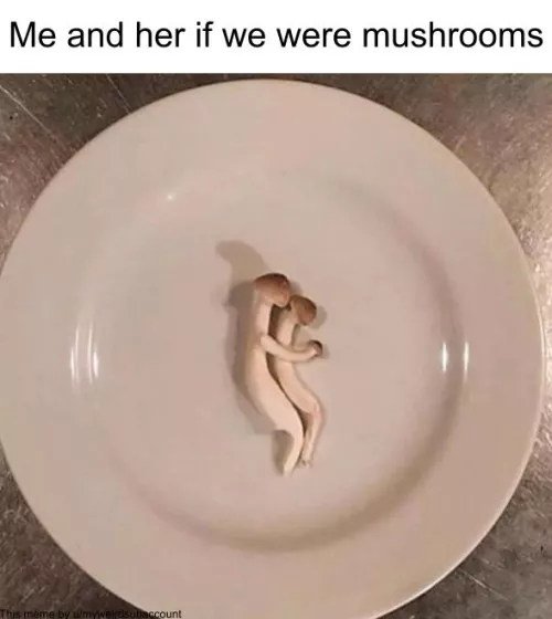 I'm the small mushroom