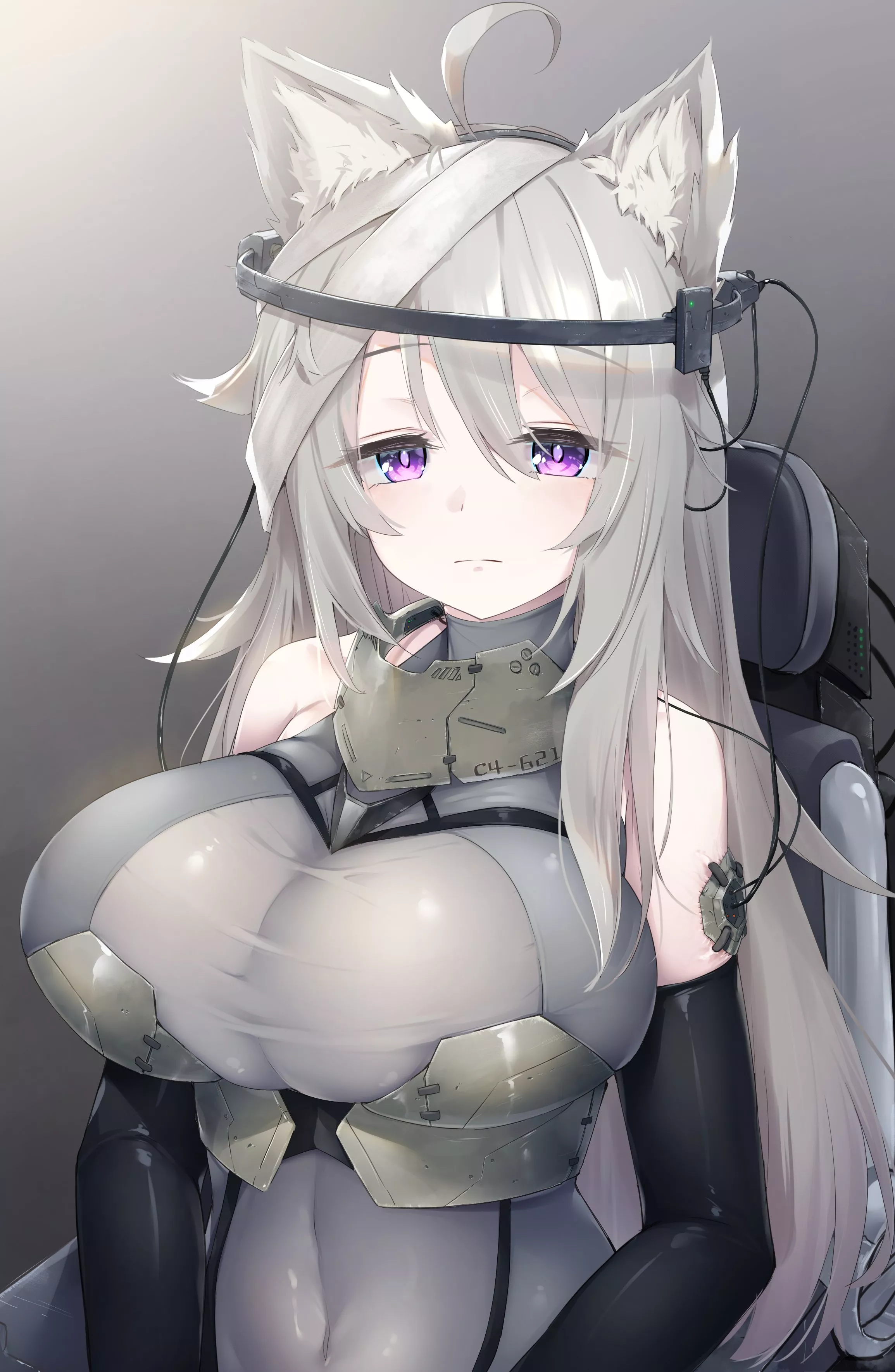 Inu C4-621[Armored Core VI]