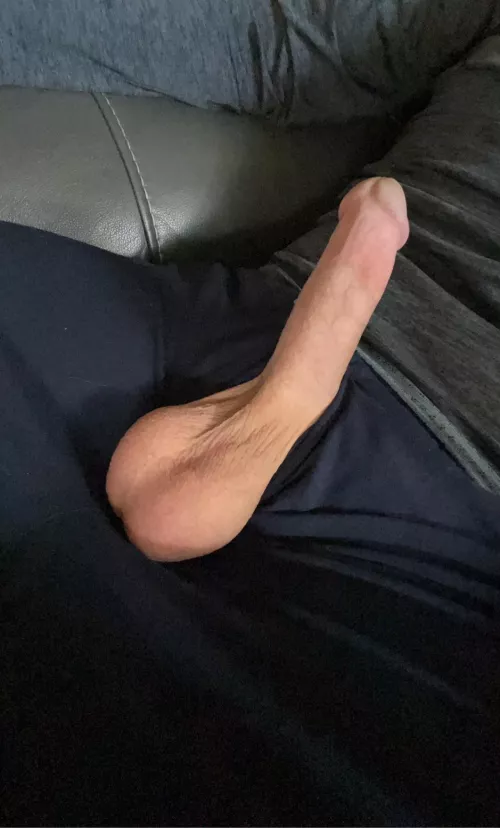 Just your average smooth cut cock