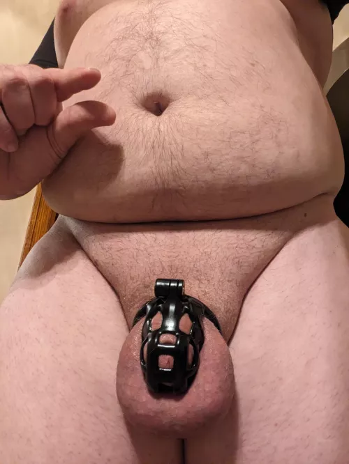 My new cage came today and I am in total bliss. Happy Locktober, cucks.