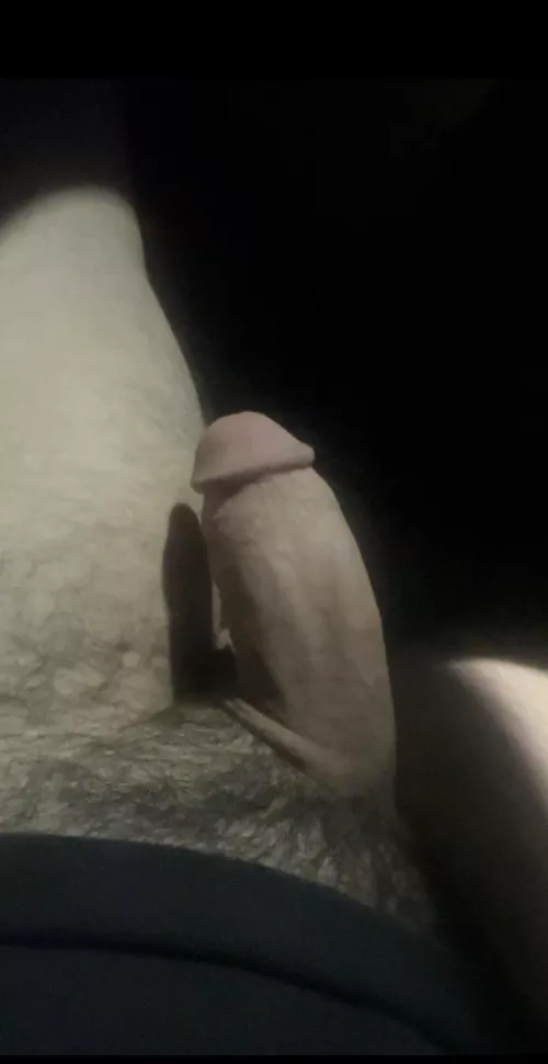 Would you suck my Dick in the car ?